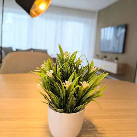 Sauna Adelina Apartman *