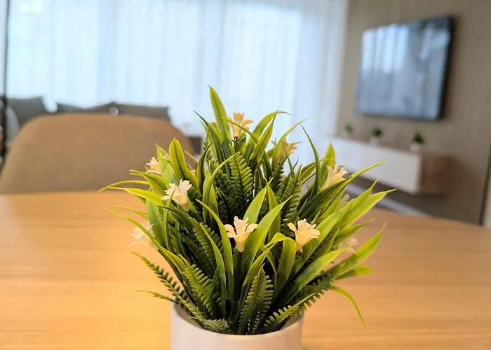 Sauna Adelina Apartment *